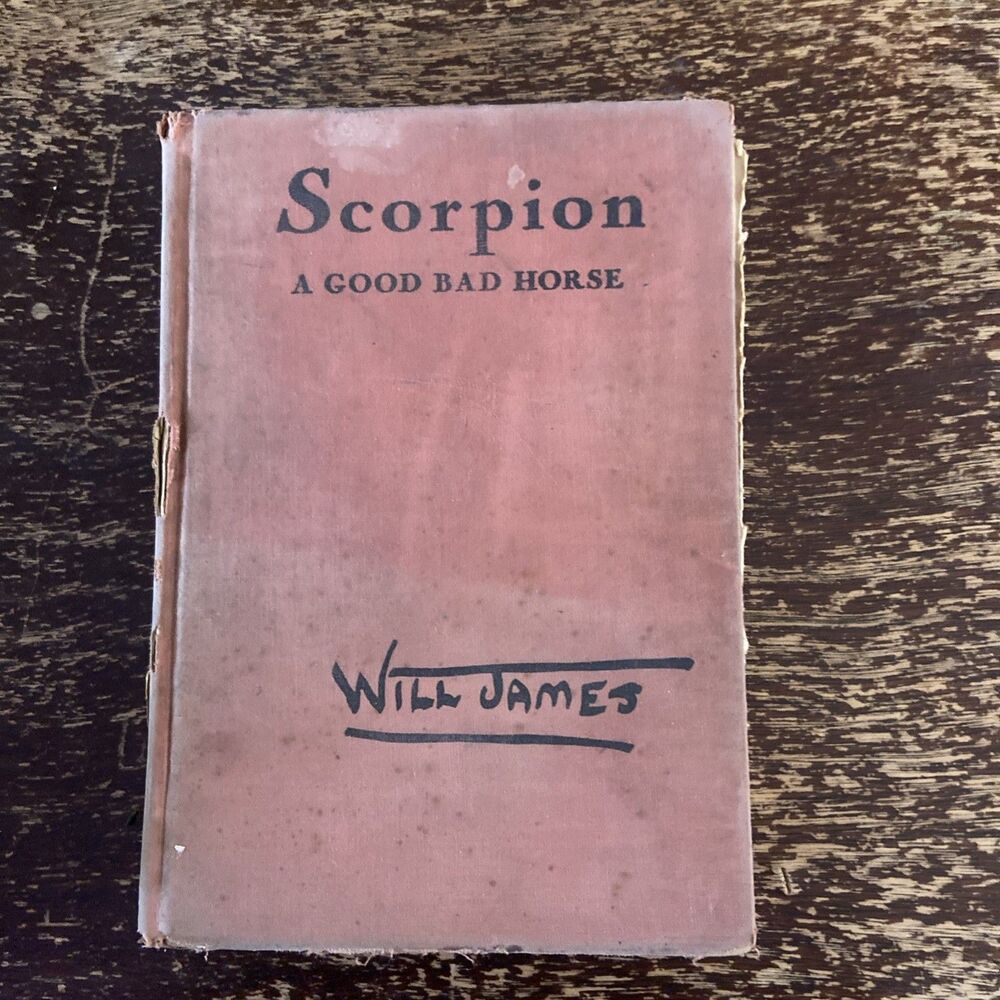 Scorpion A Good Bad Horse Will James 1937 Scribners Illustrated Western HC